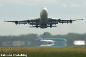 IMG_6335