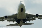 IMG_6341