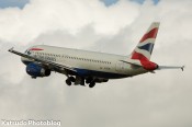 IMG_6381